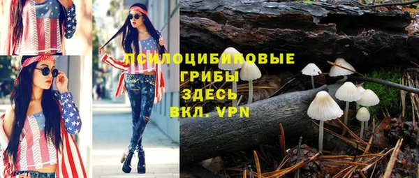 стафф Коряжма
