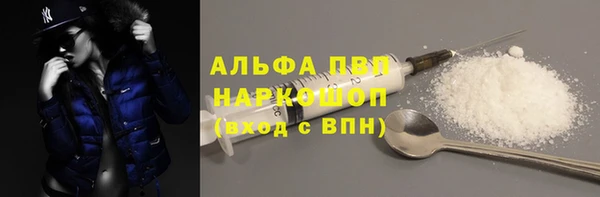 стафф Коряжма