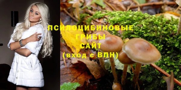 прущие крисы Костерёво
