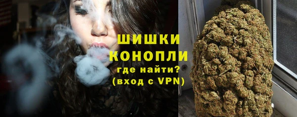 молекула духа Краснослободск