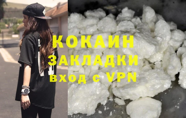 стафф Коряжма