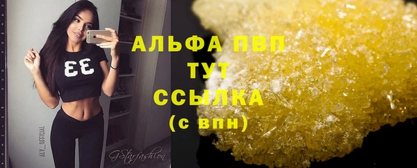 стафф Коряжма