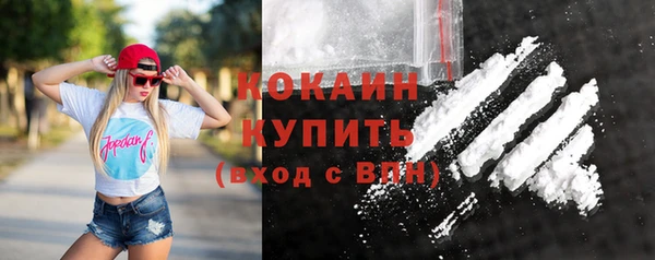стафф Коряжма
