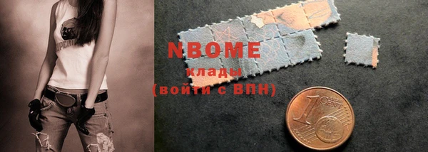 стафф Коряжма