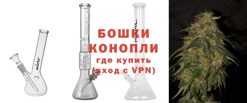 Бошки марихуана White Widow  Новоузенск 